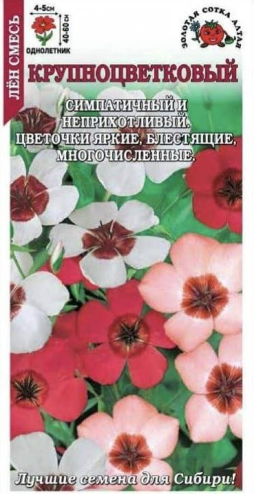 Лен «Крупноцветковый»