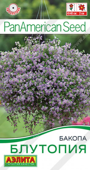 Семена бакопы «Блутопия»
