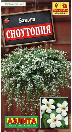 Семена бакопы «Сноутопия»