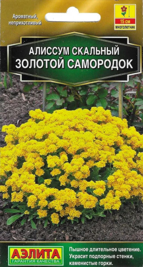 Семена «Алиссум скальный. Золотой самородок»