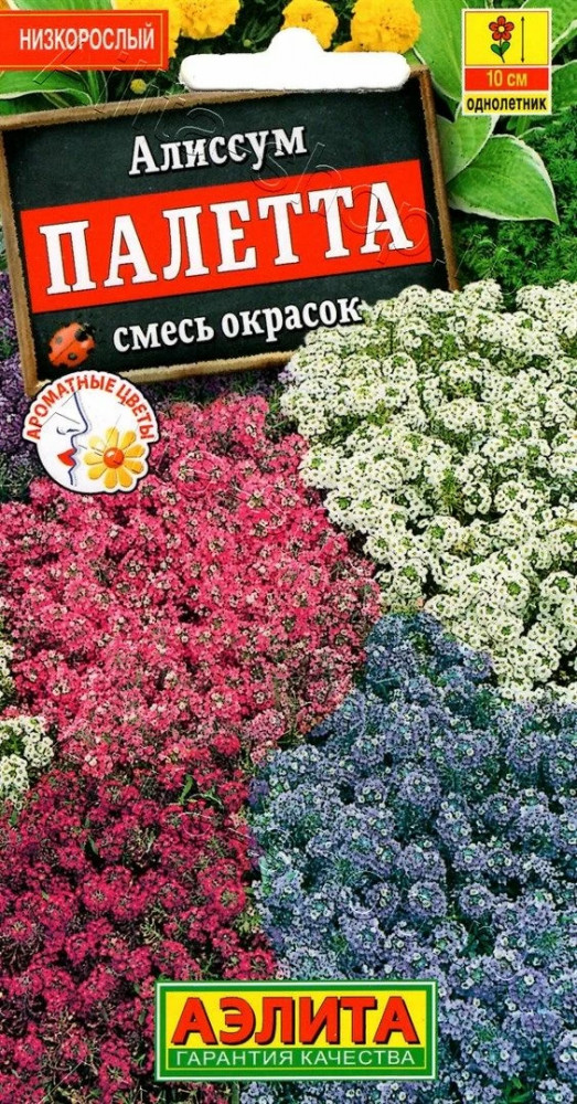 Семена алиссума «Палетта смесь» | Аэлита