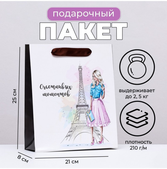 Пакет подарочный «Романтика Парижа»