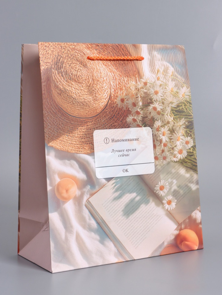 Пакет подарочный «Лучшее время сейчас»