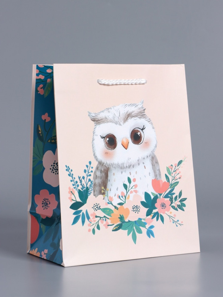 Пакет подарочный «Мудрая совушка»