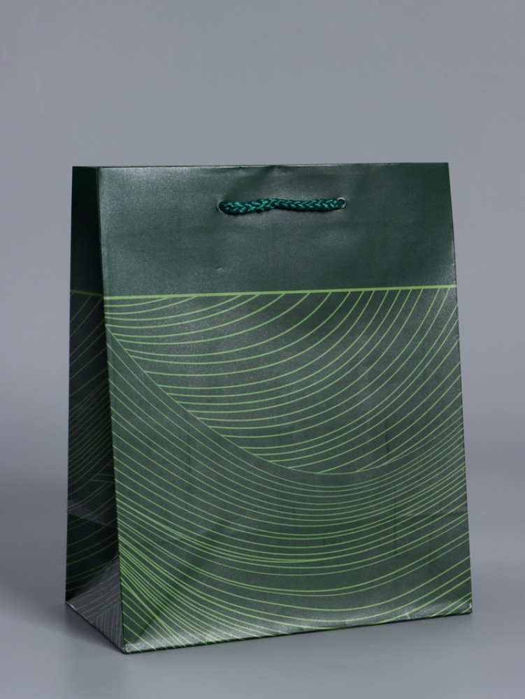 Пакет подарочный «Сдержанный шарм»