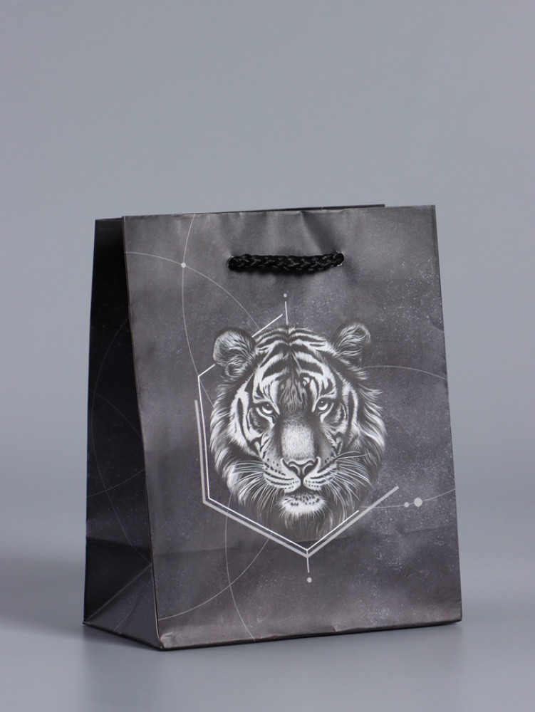 Пакет подарочный «Сила характера»