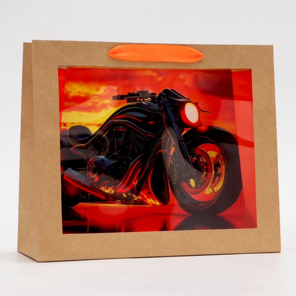 Пакет подарочный с окном | Upak Land