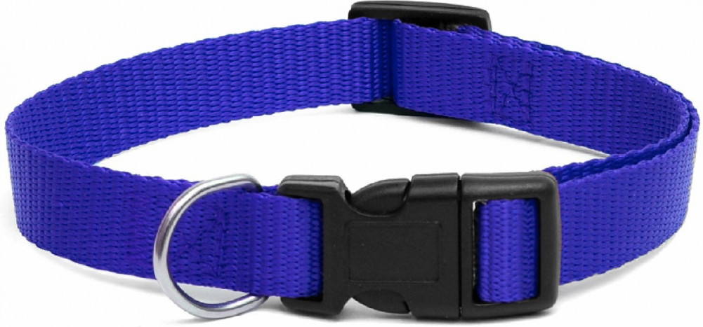 Ошейник для собак | Petshop