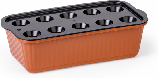 Лоток для выращивания зелёного лука