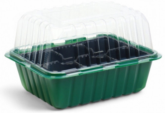 Мини-парник для рассады с крышкой