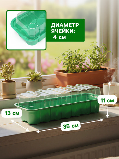 Мини-парник для рассады