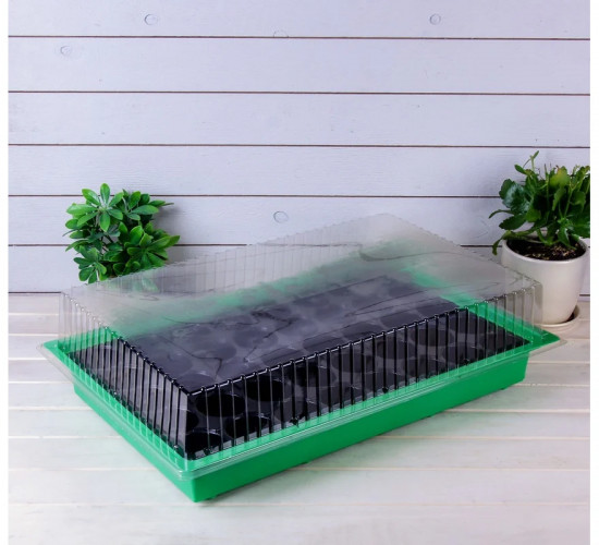 Мини-парник для рассады