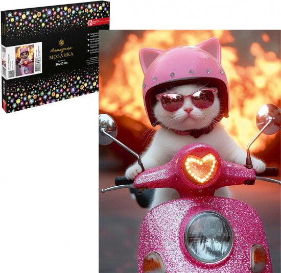 Алмазная мозаика с частичной выкладкой «Кот на мотоцикле»