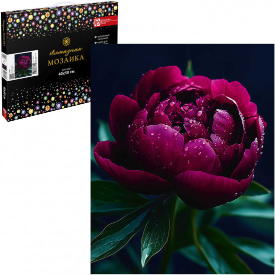 Алмазная мозаика с частичной выкладкой «Пион»