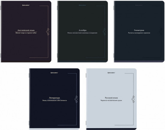 Набор предметных тетрадей