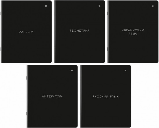 Набор предметных тетрадей