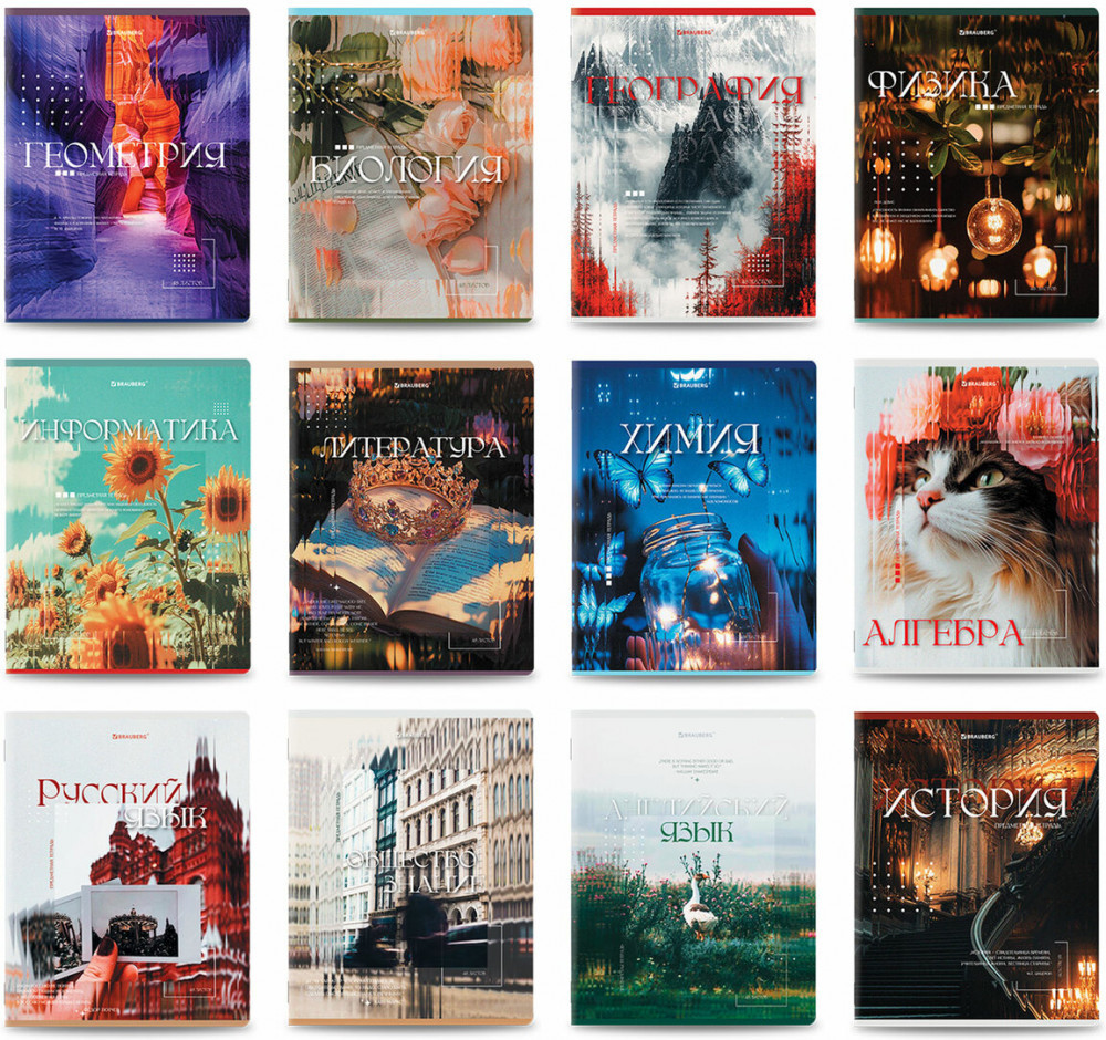 Набор предметных тетрадей | Brauberg