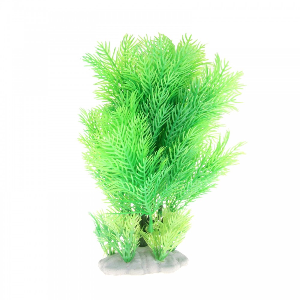 Растение аквариумное «Кабомба красная», 28 х 10 х 27 см