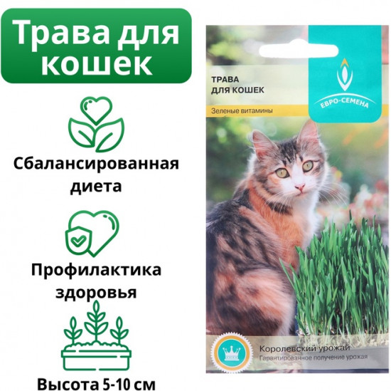 Трава для кошек