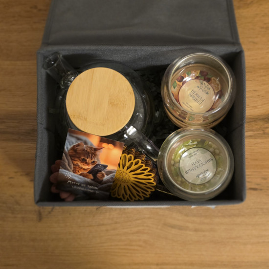 Подарочный набор «TeaBoxx»