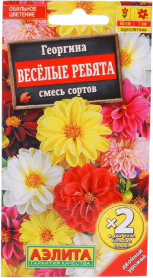 Георгина «Веселые ребята» смесь