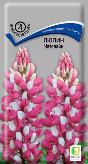 Люпин «Чателайн»