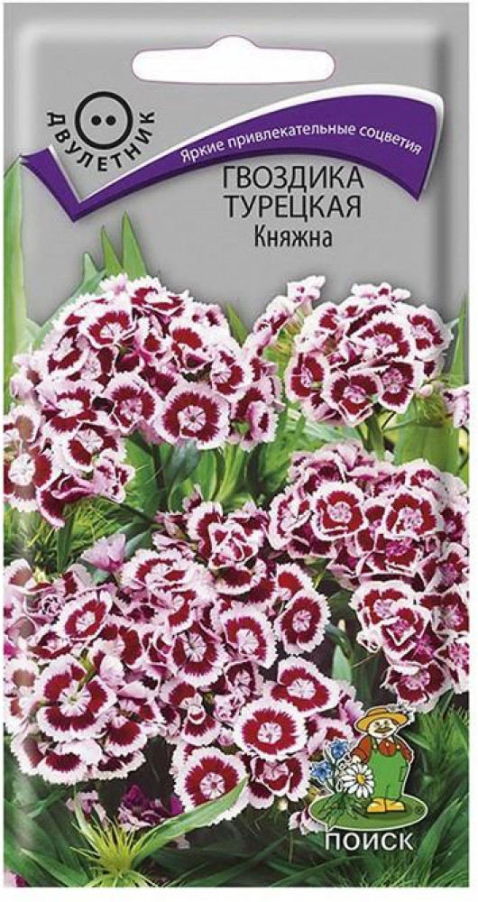 Семена гвоздики турецкой «Княжна» | Поиск