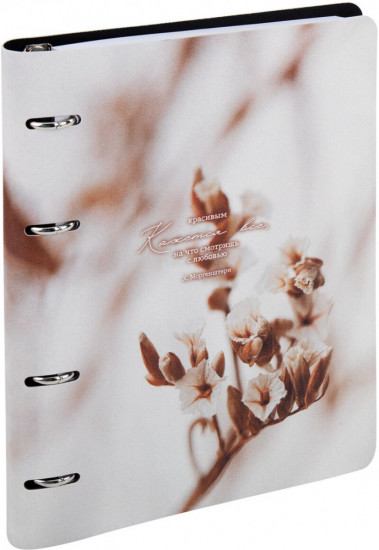 Тетрадь на кольцах