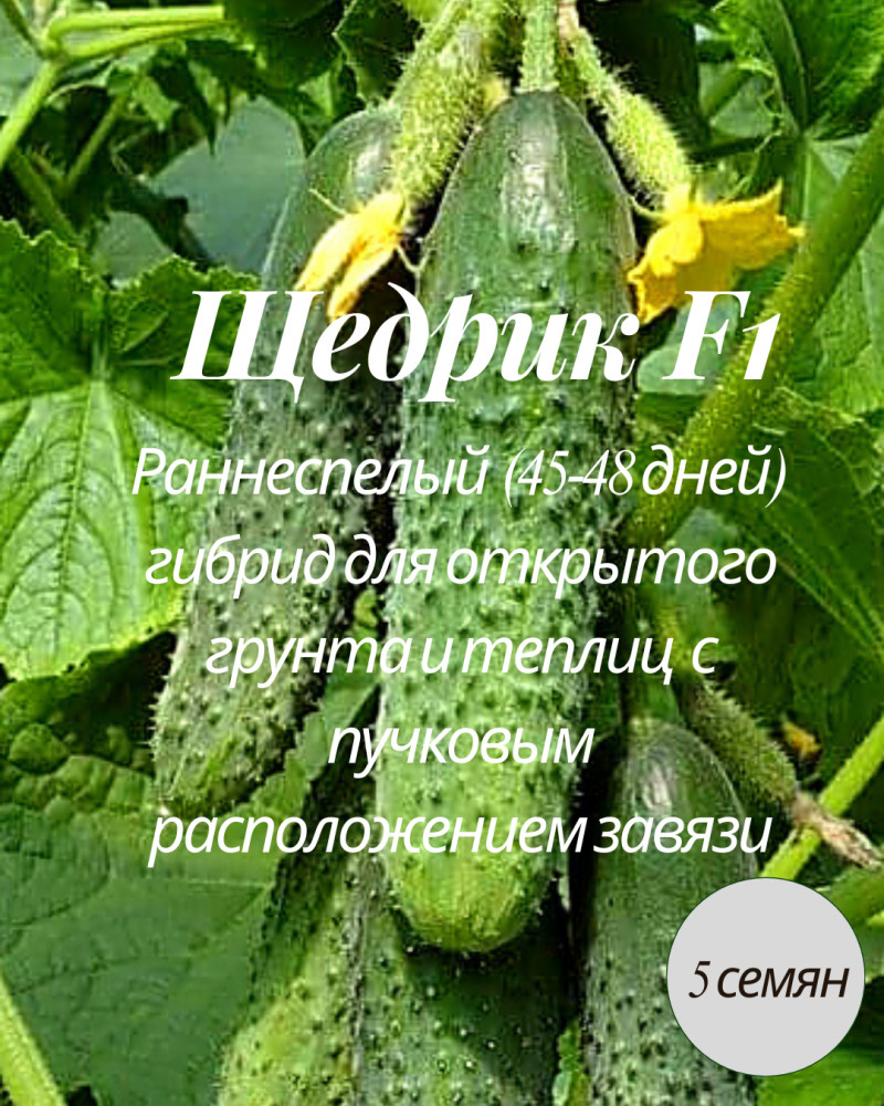 Семена огурца «Щедрик F1»