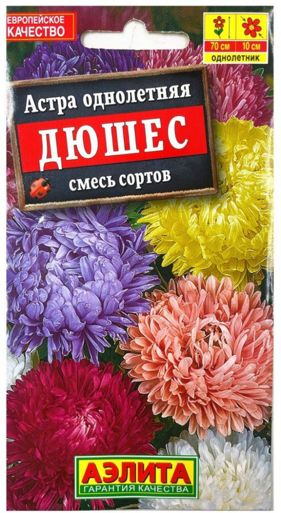 Астра «Дюшес» | Аэлита