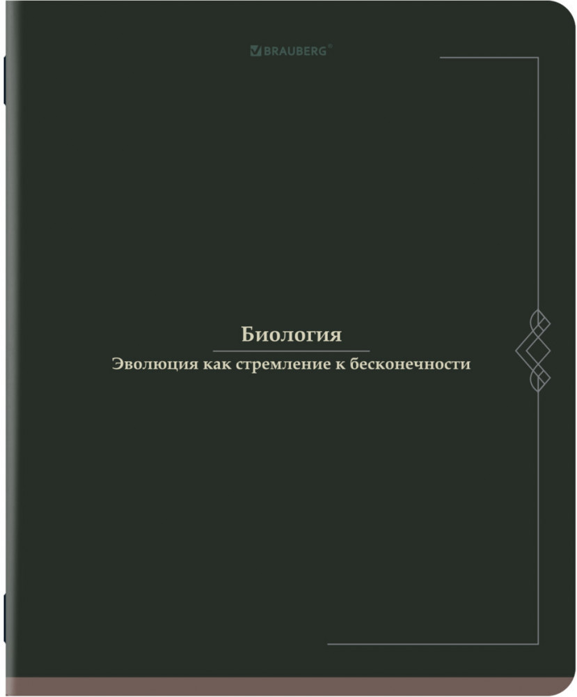 Тетрадь предметная | Brauberg