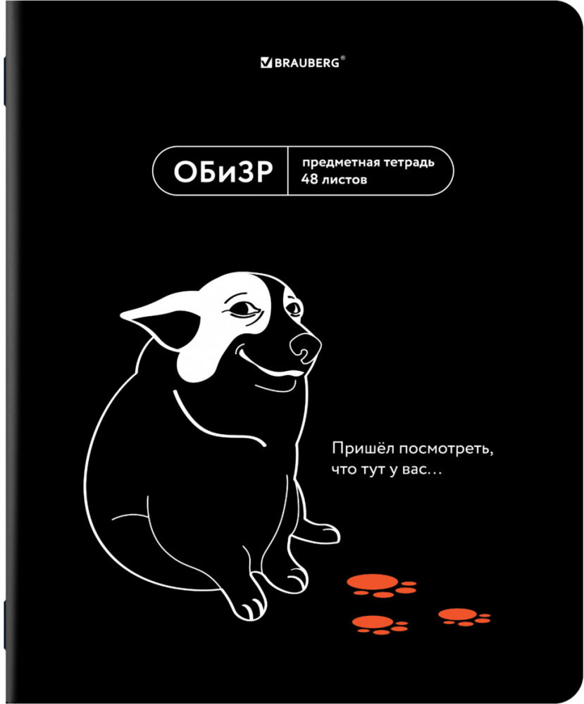 Тетрадь предметная | Brauberg