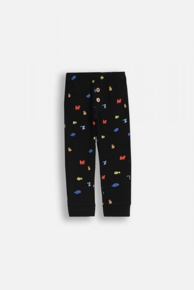Легинсы для мальчиков | Coccodrillo