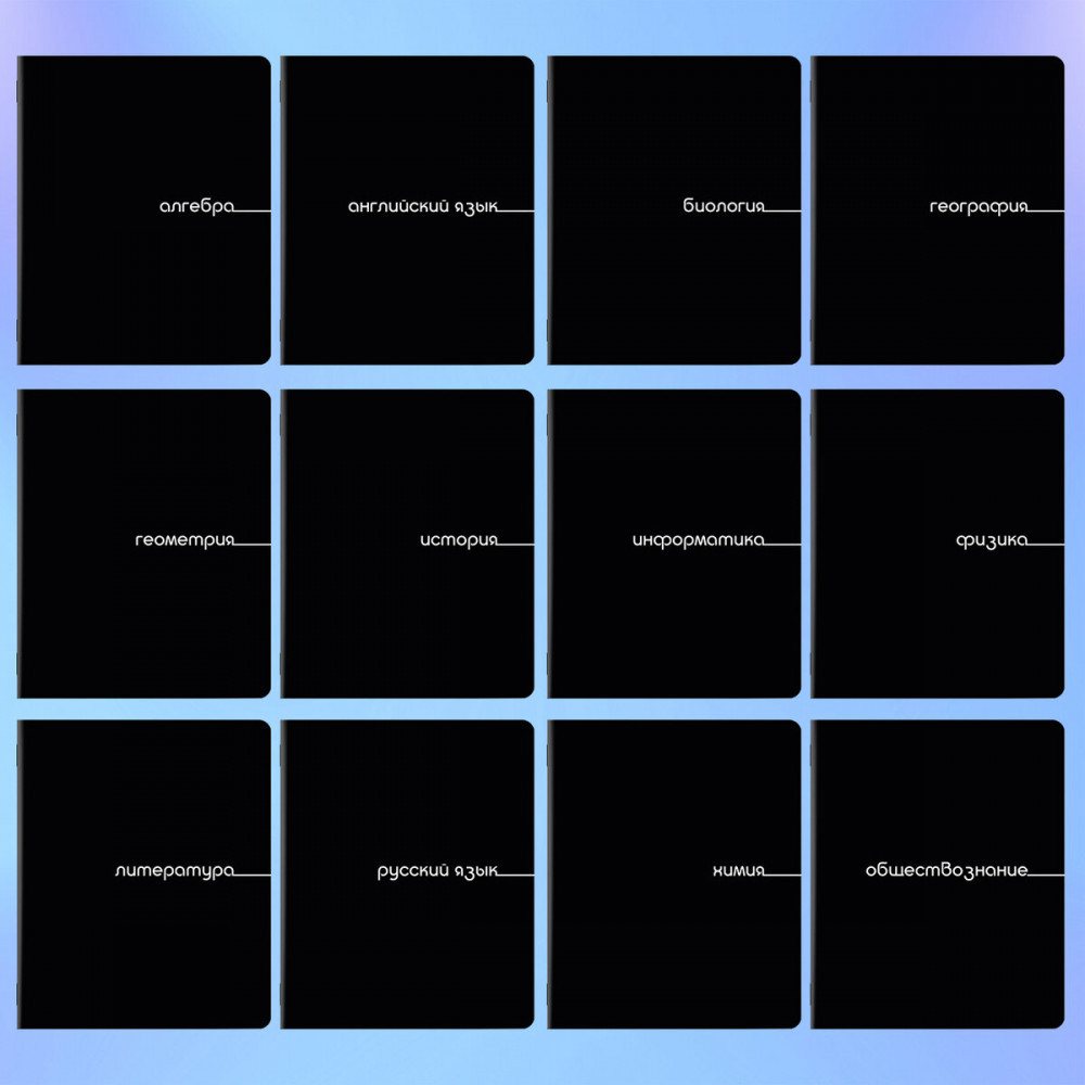 Набор предметных тетрадей | Brauberg