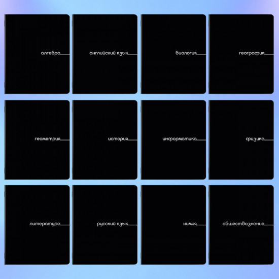 Набор предметных тетрадей