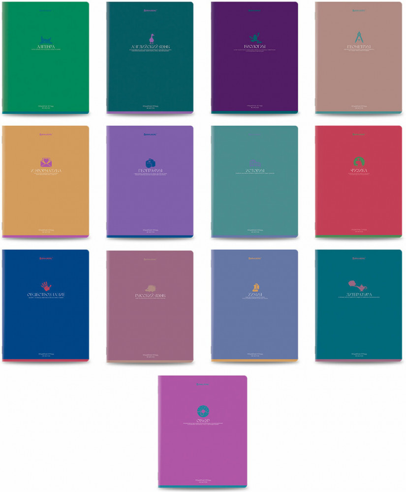 Набор тетрадей предметных | Brauberg