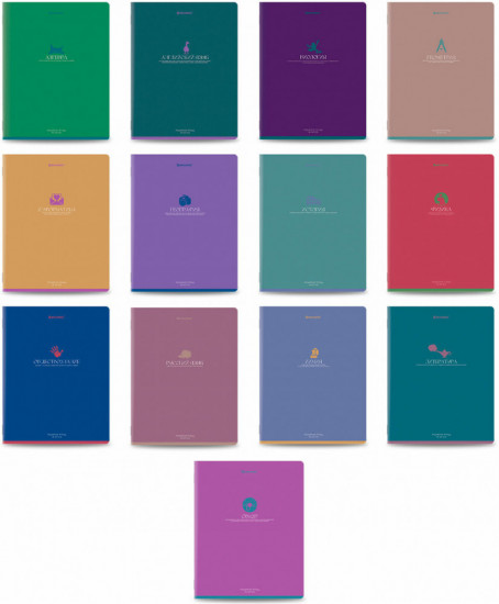 Набор тетрадей предметных