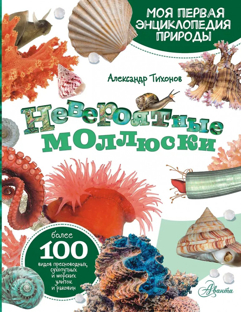 Моллюски, кораллы, морские звёзды, морские ежи | Моя первая энциклопедия природы