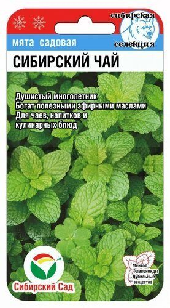 Семена мяты садовой «Сибирский чай» | Сибирский Сад