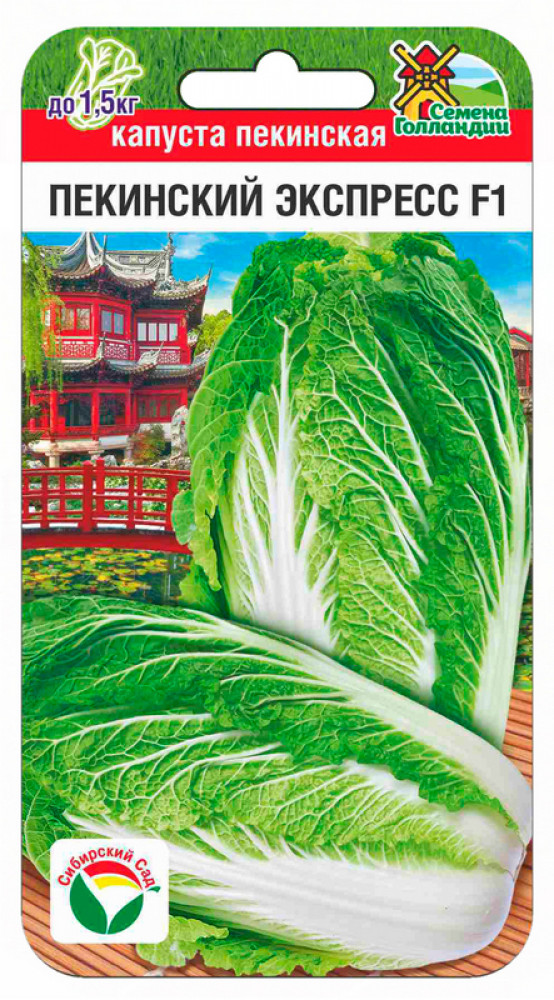 Семена капусты пекинской «Пекинский экспресс F1» | Семена Голландии | Сибирский Сад