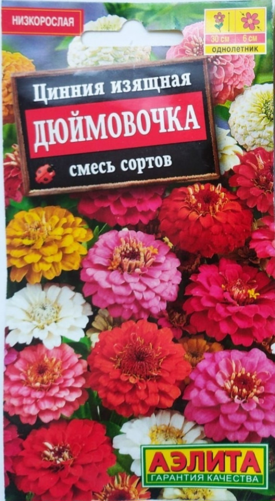 Цинния Дюймовочка | Аэлита