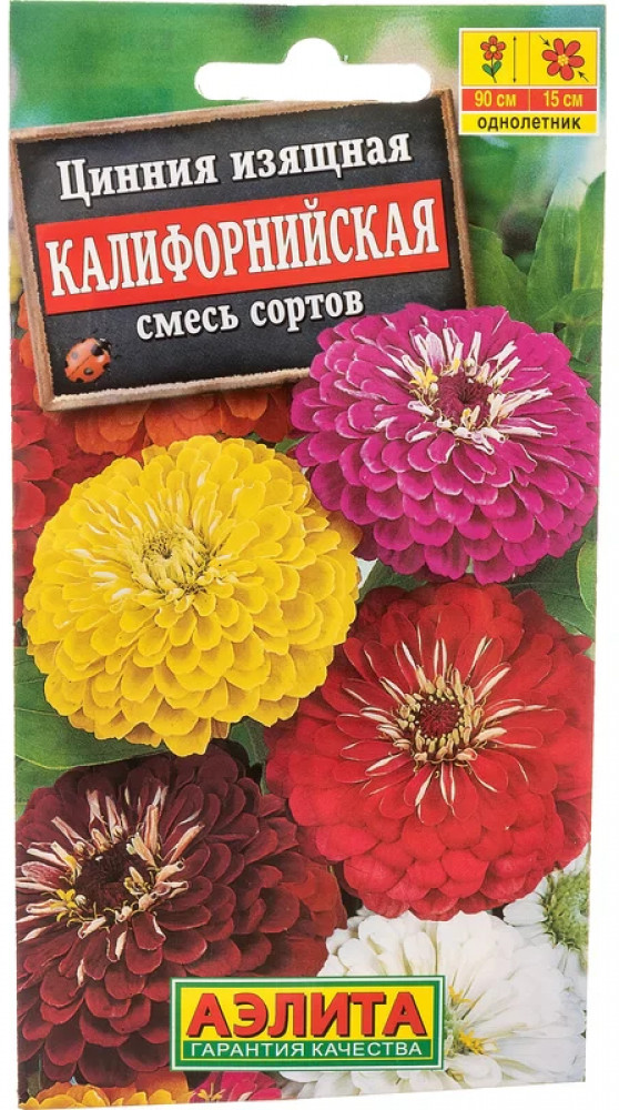 Цинния Калифорнийская | Аэлита