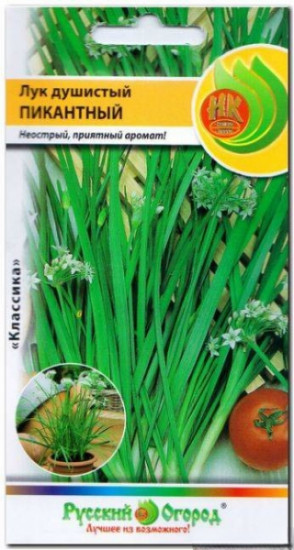 Семена лука душистого «Пикантный»