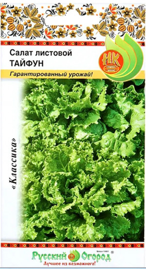 Семена салата листового «Тайфун»