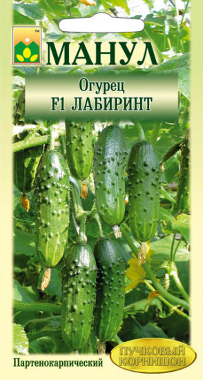 Семена огурца «Лабиринт F1»