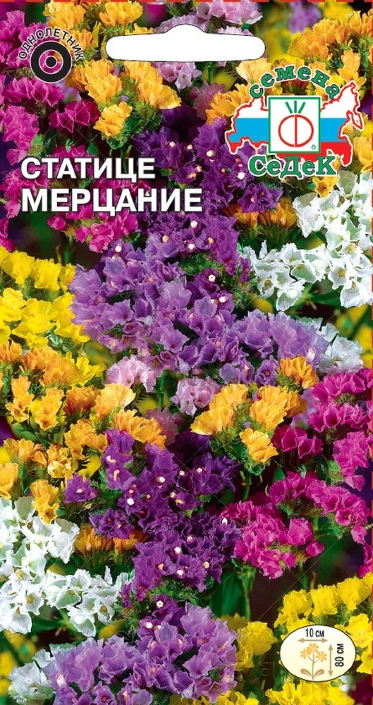 Семена статицы «Мерцание» | СеДеК