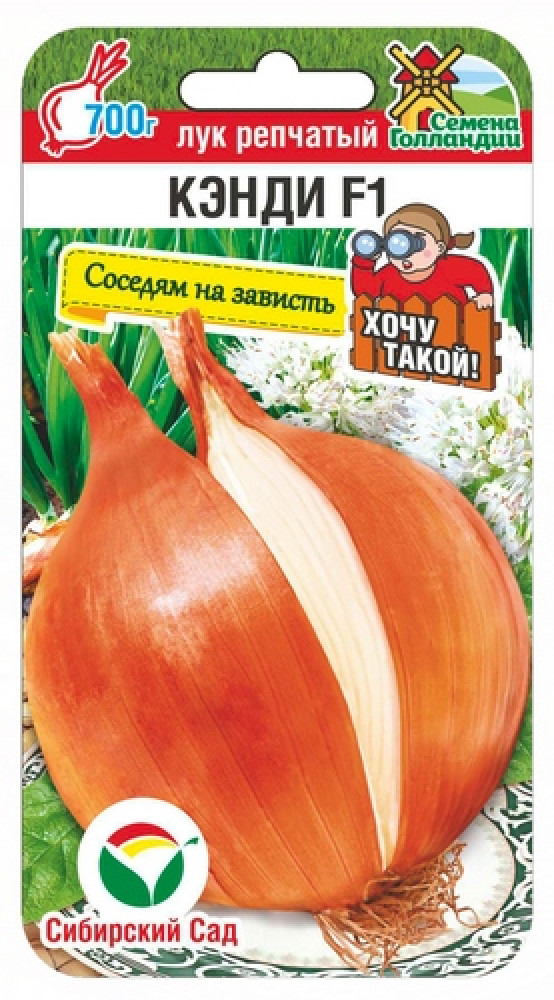 Лук репчатый «Кэнди F1» | Соседям на зависть | Сибирский Сад