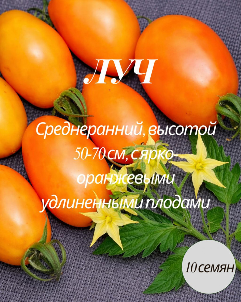 Семена коллекционные томата «Луч»