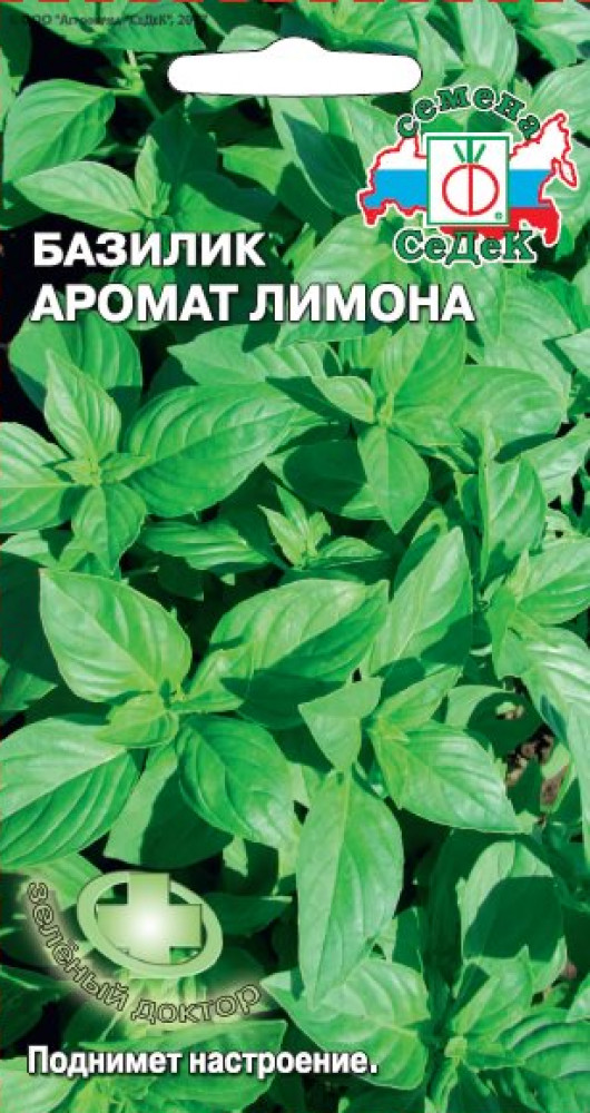 Семена базилика «Аромат лимона» | СеДеК