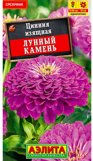 Цинния «Лунный камень»